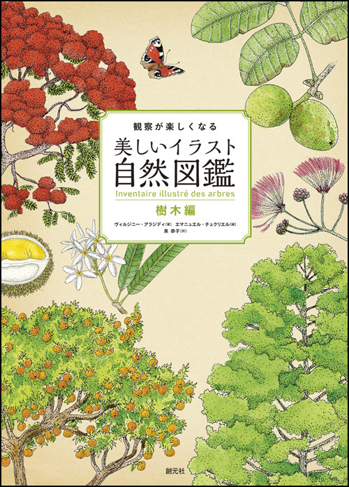 商品詳細 観察が楽しくなる美しいイラスト自然図鑑 樹木編 創元社