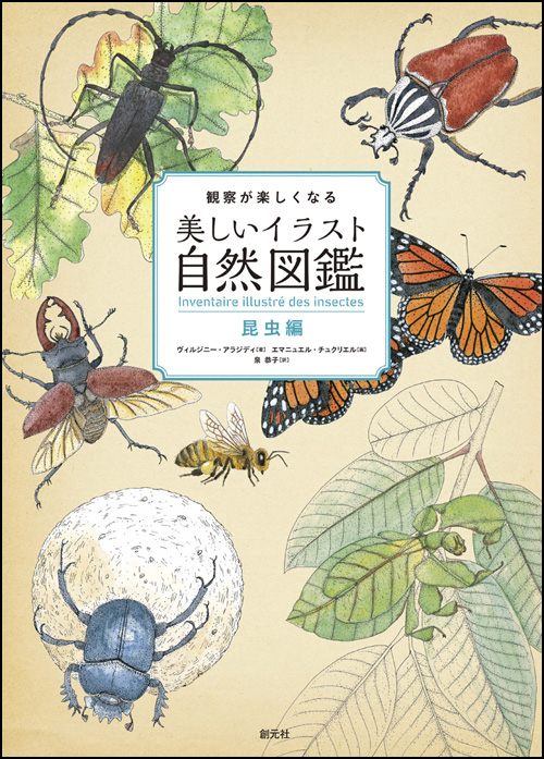 商品詳細 観察が楽しくなる美しいイラスト自然図鑑 昆虫編 創元社