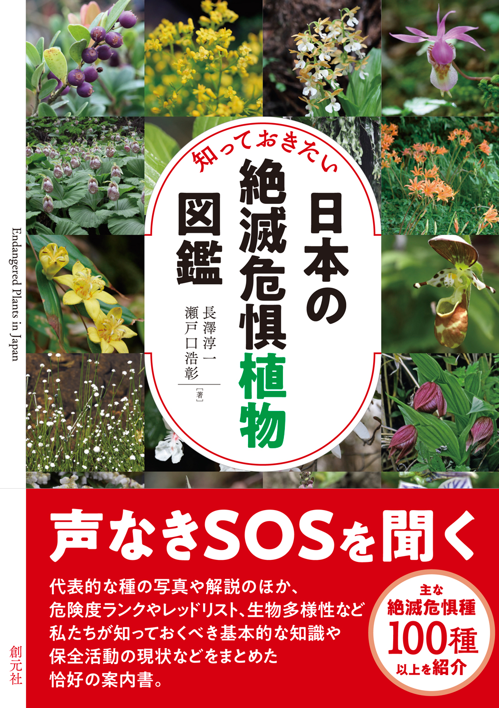 商品詳細 知っておきたい日本の絶滅危惧植物図鑑 創元社